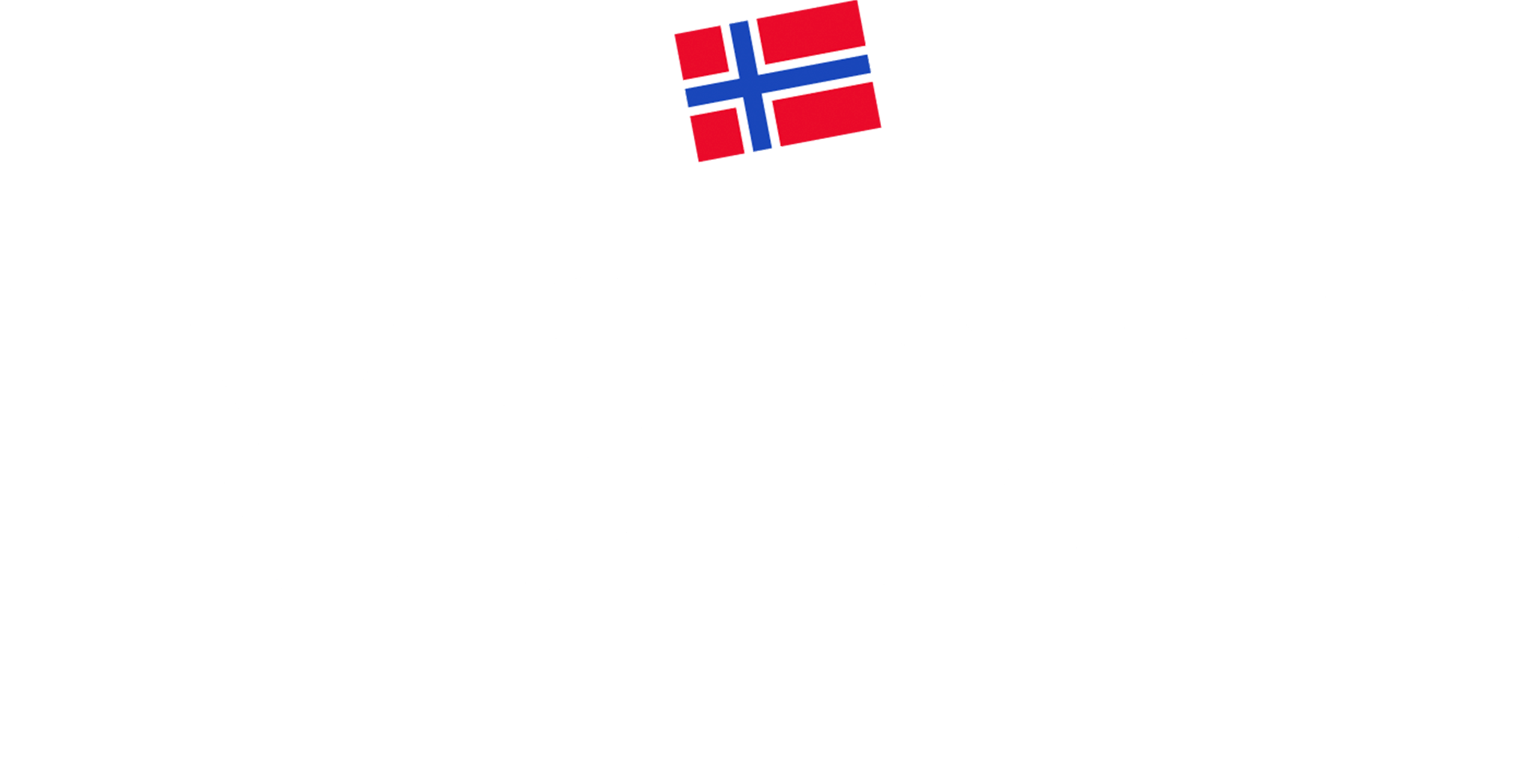 Imsdal logo